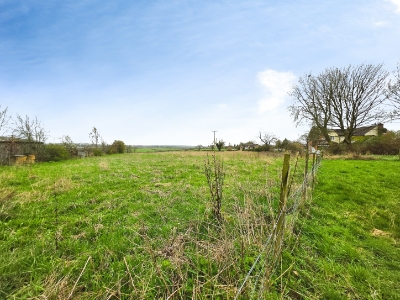 Picture 29
